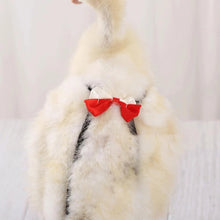 Load image into Gallery viewer, Pet Duck Diaper Goose Chicken Poultry Diaper Clothes Reusable Washable Costume Diaper with Bow Knot Duck Supplies