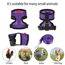 Load image into Gallery viewer, Chicken Mesh Harness Vest With Leash Pets Adjustable Rope Matching Belt Hen Vest Farm Animals Hens Chicken Coop Accessories