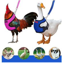 Load image into Gallery viewer, Chicken Mesh Harness Vest With Leash Pets Adjustable Rope Matching Belt Hen Vest Farm Animals Hens Chicken Coop Accessories