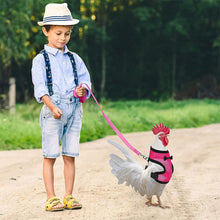 Load image into Gallery viewer, Chicken Mesh Harness Vest With Leash Pets Adjustable Rope Matching Belt Hen Vest Farm Animals Hens Chicken Coop Accessories