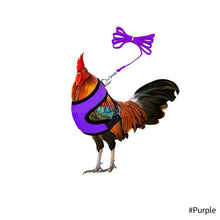 Load image into Gallery viewer, Chicken Mesh Harness Vest With Leash Pets Adjustable Rope Matching Belt Hen Vest Farm Animals Hens Chicken Coop Accessories