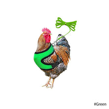 Load image into Gallery viewer, Chicken Mesh Harness Vest With Leash Pets Adjustable Rope Matching Belt Hen Vest Farm Animals Hens Chicken Coop Accessories