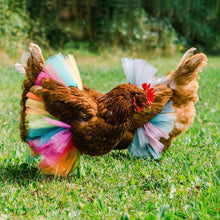 Load image into Gallery viewer, Chicken Costume Skirt Tutu Coop Hen Decoration Poultry Feather Protector Halloween Cosplay Dress Party Props