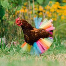 Load image into Gallery viewer, Chicken Costume Skirt Tutu Coop Hen Decoration Poultry Feather Protector Halloween Cosplay Dress Party Props
