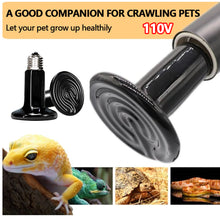 Load image into Gallery viewer, Reptile Heat Lamps Snake Tortoises Lizard Amphibian Heating Bulb Infrared Ceramic Lamp 110V 25w/50W/75W/100W/150W/200W Heating Equipment