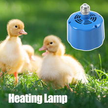 Load image into Gallery viewer, 100-300W Heating Lamp Farm Animal Warm Light for Piglet Chicken Duck Incubator Temperature Controller Heater Farm Animal Supplies