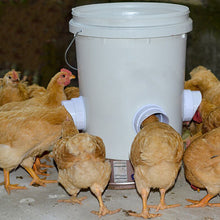Load image into Gallery viewer, 5pcs/set Chicken Feeder Automatic Port Rain Proof Poultry Feeder Gravity Feed Kit Suitable For Buckets Barrels Bins Troughs