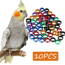 Load image into Gallery viewer, 10Pcs Pigeons Foot Ring 8x6mm Aluminum Bird Foot Ring Outdoor Flight Training Tool Competition Identification Label