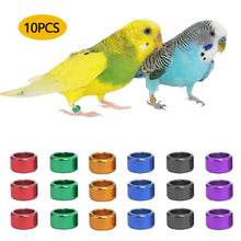 Load image into Gallery viewer, 10Pcs Pigeons Foot Ring 6 Colors 8x6mm Pigeons Foot Ring Parrots Leg Rings Birds Training Tool