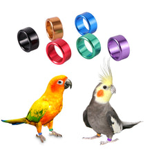 Load image into Gallery viewer, 10Pcs Pigeons Foot Ring 6 Colors 8x6mm Pigeons Foot Ring Parrots Leg Rings Birds Training Tool