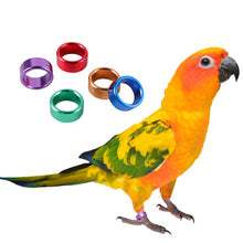 Load image into Gallery viewer, 10Pcs Pigeons Foot Ring 6 Colors 8x6mm Pigeons Foot Ring Parrots Leg Rings Birds Training Tool