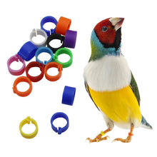 Load image into Gallery viewer, 100Pcs Pigeons Foot Ring 8/10x7mm Bird Foot Ring Outdoor Flight Training Tool Plastic Clip Ring Pigeon Dove Quail Foot Ring Competition Identification Label