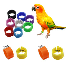 Load image into Gallery viewer, 100Pcs Pigeons Foot Ring 8/10x7mm Bird Foot Ring Outdoor Flight Training Tool Plastic Clip Ring Pigeon Dove Quail Foot Ring Competition Identification Label