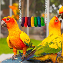 Load image into Gallery viewer, Natural Wooden Parrots Swing Toy Birds Parakeet Perch Hanging Swings Cage With Colorful Beads Bells Toys Parrot Cage Decoration Bird Supplies