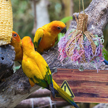 Load image into Gallery viewer, Bamboo Weaving Parrots Toys Hanging Parrot Chew Toy Bird Cage Decoration Bird Supplies Bird Training Accessories
