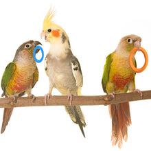 Load image into Gallery viewer, 10Pcs Pet Bird Parrot Intelligence Toys Natural Wooden Ring Parrot Training Toy Chew Bite Toys For Budgies Parakeet Growth Toy Bird Supplies DIY Accessories Home Decoration