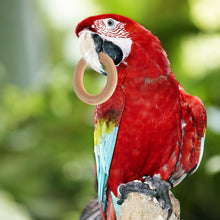 Load image into Gallery viewer, 10Pcs Pet Bird Parrot Intelligence Toys Natural Wooden Ring Parrot Training Toy Chew Bite Toys For Budgies Parakeet Growth Toy Bird Supplies DIY Accessories Home Decoration