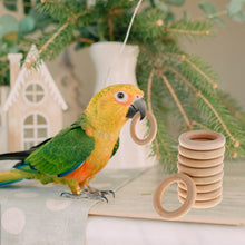 Load image into Gallery viewer, 10Pcs Pet Bird Parrot Intelligence Toys Natural Wooden Ring Parrot Training Toy Chew Bite Toys For Budgies Parakeet Growth Toy Bird Supplies DIY Accessories Home Decoration