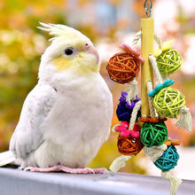 Load image into Gallery viewer, Parrot Toy Colurful Rattan Ball Chewing Hanging Bird Toy Parrot Nest For A Wide Variety Of Large and Small Parrots and Birds