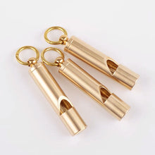 Load image into Gallery viewer, Brass Parrot Bird Training Whistle Pigeon Training Whistle Sound Reflection Sonic Whistle Outdoor Emergency Whistle