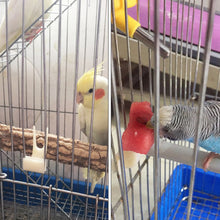 Load image into Gallery viewer, 5Pcs Birds Parrots Fruit Fork Plastic Food Holder Feeding On Cage Pet Bird Supplies