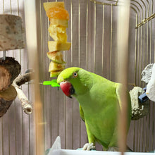 Load image into Gallery viewer, Stainless Steel Bird Food Holder Parrot Fruit Fork Support Parrot Fruit Vegetable Feeder Stick Bird Supplies