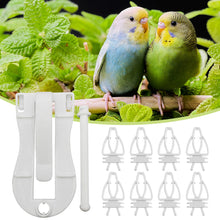 Load image into Gallery viewer, Birds Food Holder Pet Parrot Feeding Clip Cuttlefish Bone Feeder Device Pin Clamp Durable Bird Cage Supplies