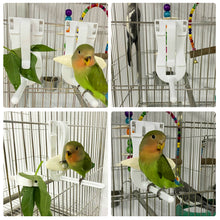 Load image into Gallery viewer, Birds Food Holder Pet Parrot Feeding Clip Cuttlefish Bone Feeder Device Pin Clamp Durable Bird Cage Supplies