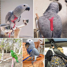 Load image into Gallery viewer, Adjustable Pet Bird Parrot Harness Leash Outdoor Flying Traction Straps Band Anti-Bite Training Rope