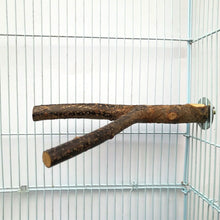 Load image into Gallery viewer, Natural Wood Pet Parrot Raw Wood Fork Branch Perches Stand Rack Mouth Grinding Claw Grinding Stick For Birds Squirrel Small Pet Supplies
