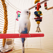 Load image into Gallery viewer, 4CM/8CM Natural Wood Pet Parrot Bird Claw Beak Grinding Perches Stand Rack Claw Grinding Stick Cage Accessories For Birds Squirrel Bird Supplies