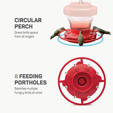 Load image into Gallery viewer, Plastics Hanging Bird Hummingbird Feeders For Outdoors Bee Proof Humming Bird Feeder Outdoor Container Pet Bird Supplies