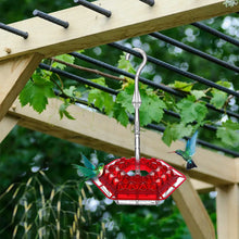 Load image into Gallery viewer, Plastics Hanging Bird Hummingbird Feeders For Outdoors Bee Proof Humming Bird Feeder Yard Garden Decor Pet Bird Supplies