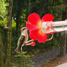 Load image into Gallery viewer, Hummingbird Feeder Wild Bird Feeders Window Flower Design Bird Feeder Garden Bird Accessories Outdoor Bird Water Feeder