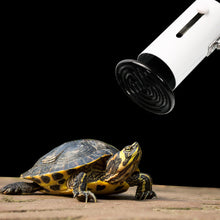 Load image into Gallery viewer, Reptile Pet No Light Far Infrared Ceramic Heating Lamp Mini Heat Emitter Light Bulb Reptile Turtle Brooder Bulb 50W 75W 100W 150W 200W