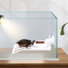 Load image into Gallery viewer, Large Transparent Turtle Basking Platform Fish Tank Aquarium Platform Turtle Resting Strong Suction Platform With 2 Suction Cups