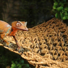 Load image into Gallery viewer, Reptile Lizard Hammock Hamster Reptile Grass Mat Pet Bed Seaweed Hammock Swing Pet Reptile Toy Hanging Bed Mat Hanging Sofas