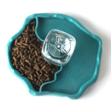 Load image into Gallery viewer, Reptile Feeder 2 in 1 Automatic Water Food Feeding Plate Turtle Dispenser Pet Water Feeder Double Container Pet Supplies
