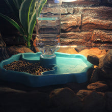 Load image into Gallery viewer, Reptile Feeder 2 in 1 Automatic Water Food Feeding Plate Turtle Dispenser Pet Water Feeder Double Container Pet Supplies