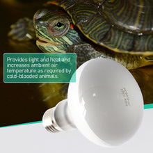 Load image into Gallery viewer, Reptile Pet Heating Lamp Full Spectrum Sunlight Basking Ultraviolet Lamp UVA Heater Bulb Aquarium Temperature Controller 220V