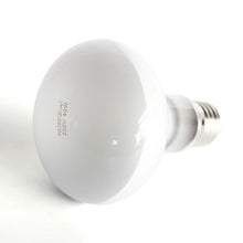 Load image into Gallery viewer, Reptile Pet Heating Lamp Full Spectrum Sunlight Basking Ultraviolet Lamp UVA Heater Bulb Aquarium Temperature Controller 220V