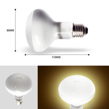Load image into Gallery viewer, Reptile Pet Heating Lamp Full Spectrum Sunlight Basking Ultraviolet Lamp UVA Heater Bulb Aquarium Temperature Controller 220V