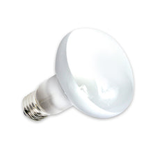 Load image into Gallery viewer, Reptile Pet Heating Lamp Full Spectrum Sunlight Basking Ultraviolet Lamp UVA Heater Bulb Aquarium Temperature Controller 220V