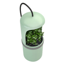 Load image into Gallery viewer, Automatic Water Drinking Reptile Drinking Water Fountain Lizard Chameleon Feeding Dispenser Terrarium Amphibian
