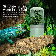 Load image into Gallery viewer, Automatic Water Drinking Reptile Drinking Water Fountain Lizard Chameleon Feeding Dispenser Terrarium Amphibian