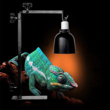 Load image into Gallery viewer, Reptile Lamp Stand Adjustable Telescopic Metal Floor Lamp Bracket for Succulent Lizard Tortoise Turtle Heating Light Holder