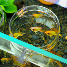 Load image into Gallery viewer, Self Floating Fixed-Point Feeder Round Square for Aquarium Feeding Circle Carp Match Feeders
