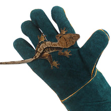 Load image into Gallery viewer, Reptile Training Gloves Wild Animals Handling Gloves Bite Proof Scratch Resistant Snake Lizard Protection Gloves
