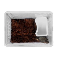 Load image into Gallery viewer, Reptiles Feeder Water Bowl Pet Feeder Utensils Bowl Crawler Basin Resin Non-toxic Food Water Pot Pets Supplies