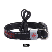 Load image into Gallery viewer, LED Dog Collar Engraved Design Glowing Up Anti-lost Luminous Collar Night Safety Collars with Batteries Adjustable Pet Necklace Glow Collar for Small Dogs Cat